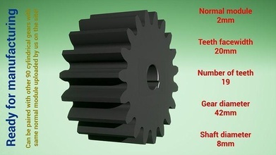 cylindrical gear - paired z19 m2 d42 d8 gearwheel cog cogwheel teeth print steel metal plastic tool industrial mechanism machinery differential technology engine transmission science engineering 3d print model - Mito3D