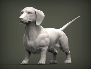 dachshund cão natureza mamífero animal escultura estatueta lembrança 3d impressão modelo esculpir arte esculturas estátua imprimível 3d print model - Mito3D