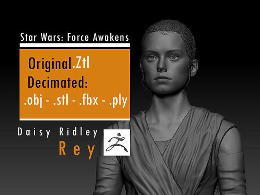 papatya ridley rey star savaşlar güç direnç imparatorluk sipariş jedi sith gökada gökyüzü gezgini palpatine imparator leia solo tatooine uzay sanat heykeller 3d print model - Mito3D