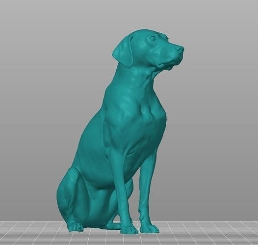 Dalmaçyalı köpek 101 Evcil Hayvan hayvan oturma zalim Deville köpekler Dalmaçyalılar Dalmayonlar Hayvanlar doğa minyatürler oyuncak karakter Sanat ev 3D print model - Mito3D