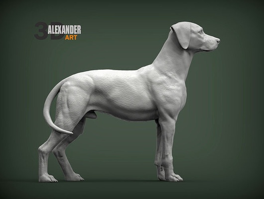 dalmaçyalı köpek doğa memeli hayvan evcil hayvan heykel heykelcik hatıra 3d yazdır model şekil vermek heykeller yazdırılabilir sanat 3d print model - Mito3D