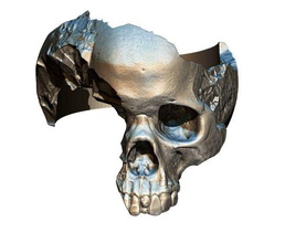 damage broken salvage skull ring destroyed wreck broke junk ruin concrete man human head printable fire blow gas jewelry rings 3d print model - Mito3D