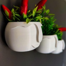 decorative plant pot fridge magnet vase decoration cactus rose deco nature tree house print3d decor refrigerator 3d print model - Mito3D