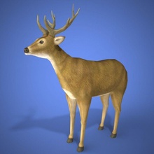 deer modello 3d art deer3d poli arredamento architettura altri 3d print model - Mito3D