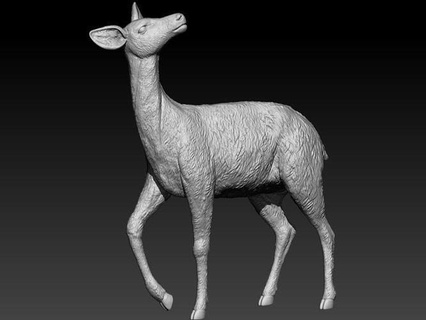 veado 3d modelo animal chifre natureza esqueleto caçador arte esculturas 3d print model - Mito3D