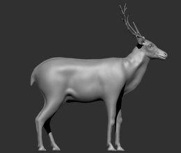 cerf animal Hiren beau chasseur mammifère art sculptures 3d print model - Mito3D