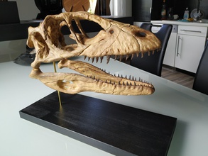 deinônico crânio dinossauro fóssil esqueleto jurássico natureza animal arte esculturas 3d print model - Mito3D
