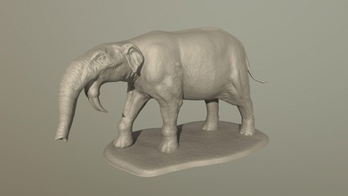 déinotherium l'éléphant animal mammifère sculpture musée art sculptures 3d print model - Mito3D