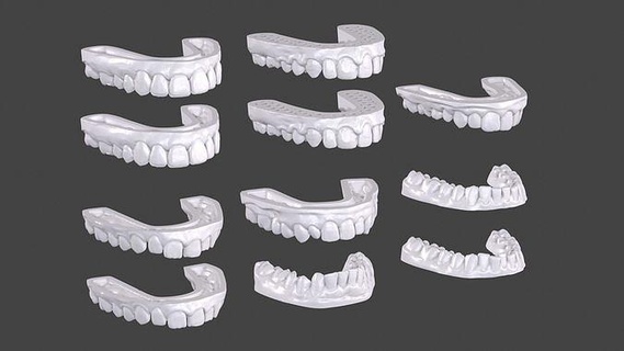 dental anatomia 11 modelos real escaneado médico caso bainha bocas odontologia dentes dentista oral medicamento mandíbula dente impressão médica dentária 3dprinting dentadura Ciência humano osso dentição boca biologia 3d print model - Mito3D