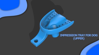 dental impression tray dogs upper arch dog veterinarian animal medical science biology 3d print model - Mito3D
