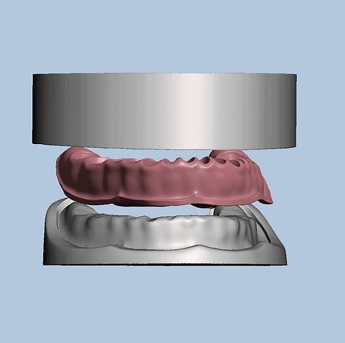 diş model kalıp yapımı silikon sakız doktoru hekimliği teknolojisi tipodont örneklem bilim biyoloji 3D print model - Mito3D