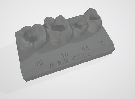 Dental Modelle Kurse Ausbildung Zähne Zahn Zahnheilkunde Zahnarzt Mund Wissenschaft Anatomie 3d Modell Biologie 3d print model - Mito3D