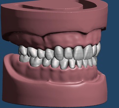 dental amostra modelo dentista odontologia tecnologia dentária técnico dentário oral anatomia dentes boca typodont arte esculturas 3d print model - Mito3D