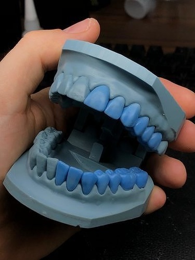 diş eğitim model örneklem protez dente gülümsemek dentista doktoru kalıp modeli modelo döküm 3d bilim biyoloji 3d print model - Mito3D