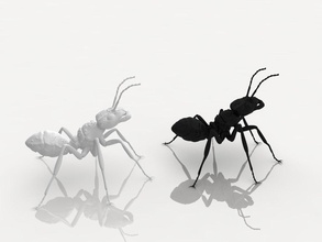 dettagliata formica formiche animali insetto colonia artchallenge scienza biologia 3d print model - Mito3D