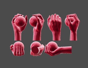detailed female hand-casual grip art anatomy hand woman human body arm finger limb veins wrinkles pose casual causal sculptures people figure conceptual strength 3d print model - Mito3D