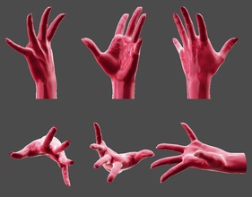 detailed female hand-fingers stretched 2 art hand woman human body anatomy arm finger limb veins wrinkles pose casual causal sculptures thumb gesture 3d print model - Mito3D