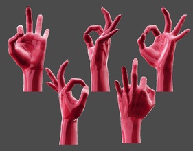 detailed female hand-okay pose art anatomy hand woman human body arm finger limb veins wrinkles casual causal sculptures people figure strength grip praying 3d print model - Mito3D