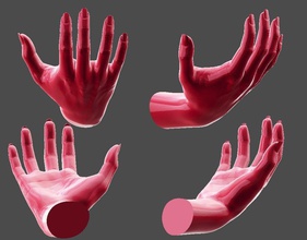 detallada femenino de la mano postura relajada 2 art mujer humanos cuerpo anatomía brazo dedo las extremidades venas arrugas pose casual causal esculturas el pulgar gesto 3d print model - Mito3D