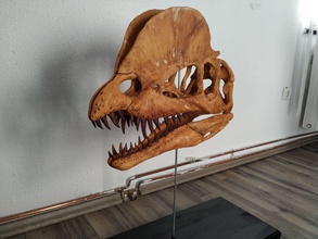 dilofossauro crânio dinossauro fósseis jurássico réplica arte esculturas 3d print model - Mito3D