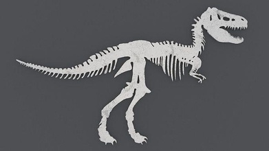 dinosaurio esqueleto imprimible impresión estilizado estatua decoración dinosaurios skelet esqueletos huesos hueso Arte esculturas 3d print model - Mito3D