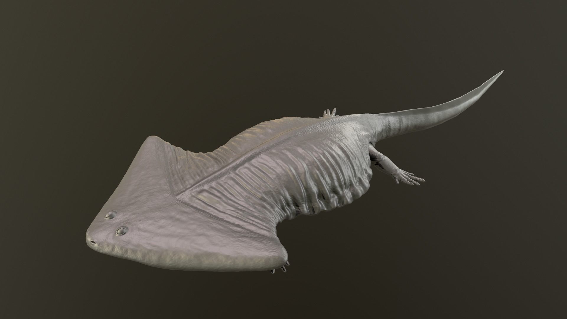 diplocaulus magnicornis paleontologia dinosauro paleoart tirannosauro rex estinto arte sculture 3D print model - Mito3D