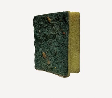 dirty sponge scourer cleaning hygiene sustainability 3dprinting technology innovation cost effective versatile bacteria germs health safe realistic texture grime eco friendly house kitchen dining 3d print model - Mito3D