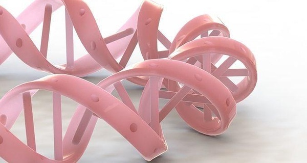DNA bilezik bijuteri dekorasyon gadget hatıra yüzük Biyoloji insan Sanat moda takı Bilim bilezikler 3d print model - Mito3D
