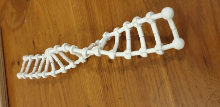 dna model print in place 3dprinter technology accessories 3dprint 3d figure nature flora science biology child kids molecule constructor toy 3d print model - Mito3D
