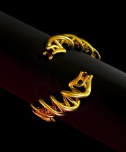 dna squillare design astratto simbolo gioiello argento molecola biologia gioielleria gemma scienza anelli 3d print model - Mito3D