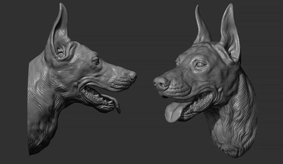 Doberman baş büst köpek hayvan Pitbull minyatürler figürinler heykel memeli dekor yazdırılabilir Sanat heykeller hayvanlar 3d print model - Mito3D