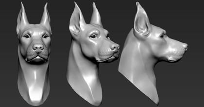 doberman cabeça a arte modelo cão decoração animais rottweiler o design printable 3dprinting imprimir esculturas 3d print model - Mito3D