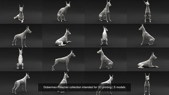 doberman pinscher coleção pretendido 3d impressão cão animal mamífero canino miniatura figura escultura estátua imprimível miniaturas estatuetas sentado pé deitado arte esculturas 3d print model - Mito3D