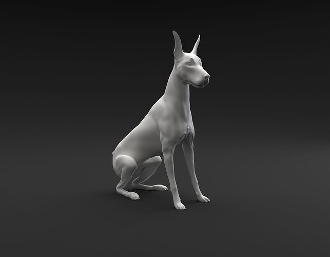 caballero pinscher sentado destinado 3d impresión perro animal mamífero canino mascota miniatura figura escultura estatua imprimible miniaturas figuritas sentar ocioso arte esculturas 3D print model - Mito3D