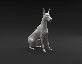 doberman pinscher séance prévu 3d impression chien animal mammifère canin compagnie miniature figure sculpture statue imprimable miniatures figurines asseoir tourner ralenti art sculptures 3d print model - Mito3D