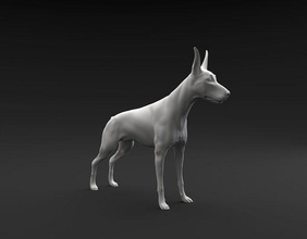 doberman pinscher pé fêmea masculino 3d impressão cão animal mamífero canino miniatura figura escultura estátua imprimível miniaturas estatuetas alerta direito arte esculturas 3d print model - Mito3D