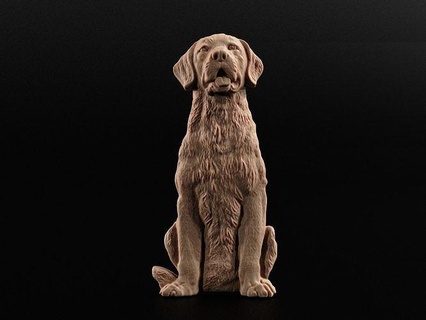 köpek bas relief altın av köpeği yazdırılabilir anıt hayvan stl bebek yavrusu Evcil Hayvan Labrador Rahatlama Sanat heykeller 3d print model - Mito3D