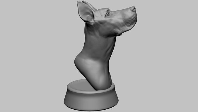 dog bust printable animal animals pet mammal art nature sculptures sculpture model statue 3dprint zbrush sculpting 3D print model - Mito3D