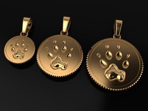 dog coin pendant mix size gold paw necklace tag trends jewelry fashion male men female women dainty vintage modern pendants 3d print model - Mito3D