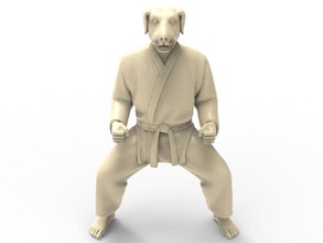 dog kiba dachi stance karate action figure actionfigure animal character super hero human hybird martial toy toys print printable statue art sculptures 3d print model - Mito3D