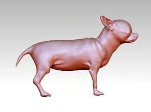perro perrito animal mamífero lindo juguetes mascota pitbull Bull terrier matón miniaturas figuritas naturaleza juegos buldog autónomo 3d print model - Mito3D