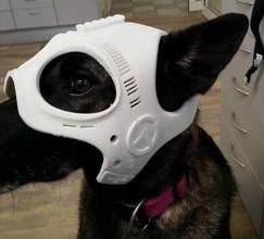 cão guarda espião capacete stl mascarar arquivo super combate chapéu traje 3d impressão cachorro bruxas cosplay jogos brinquedos acessórios 3d print model - Mito3D