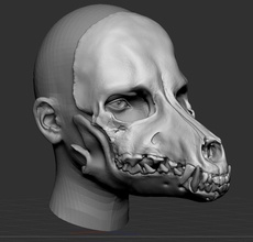 cão crânio assustador mascarar cosplay bruxas cara imprimível passatempo faça scull natureza humano osso horror 3d print model - Mito3D