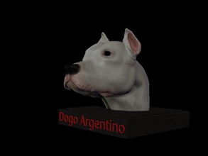 dogo argentino bust animal strength cute dog argentina art sculptures 3d print model - Mito3D