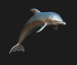 dolphin ocean whale nature animal mammal sea orca marine statue sculpture 3d life toy fish shark wildlife art sculptures 3d print model - Mito3D