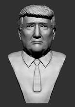 donal trumb donaltrumb portrait art visage science 3d print model - Mito3D