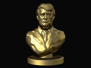 donald trumpf präsident usa politiker büste skulptur charakter kunst skulpturen trump republikaner makeamericagreatagain politik amerika maga statue porträt kopf 3d print model - Mito3D