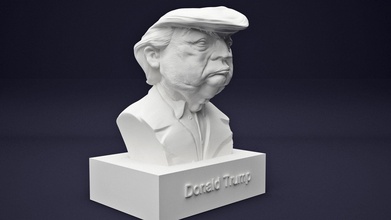 donald trumpf porträt berühmtheit statue büste kopf skulptur komisch bobblehead politiker drucken berühmt figur wahlen milliardär trump kunst skulpturen 3d print model - Mito3D