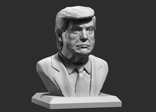 donald trunfo fracasso 2 3d impressão modelo presidente eua escultura retrato candidato arte esculturas 3d print model - Mito3D