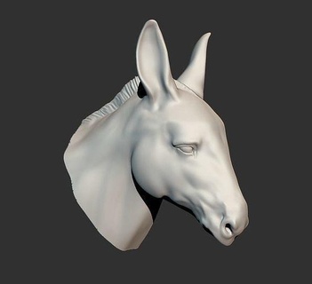 donkey head animal print nature horse printable art sculptures 3d print model - Mito3D